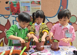 一人一花