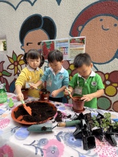 IMG_1852photo