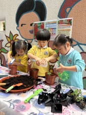 IMG_1854photo