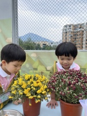 IMG_1811photo