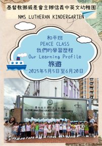 螢幕擷取畫面 2025-07-09 105904
